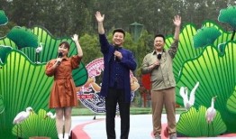 南宁龙岗命案最新爆料视频,细节惊人，案情再起波澜